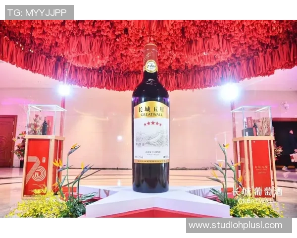 深圳排球队的节奏解析与排球热点动态的深度探讨