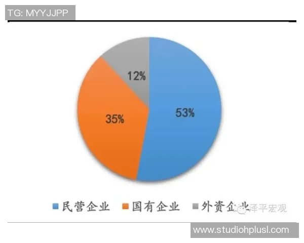 赛后分析:北京排球队与西安排球队的团队协作表现及其影响因素探讨 赛后分析:北京排球队与西安排球队的团队协作表现及其影响因素探讨
