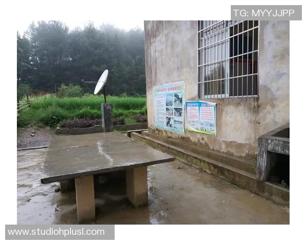 深度对话：周静的乒乓球人生