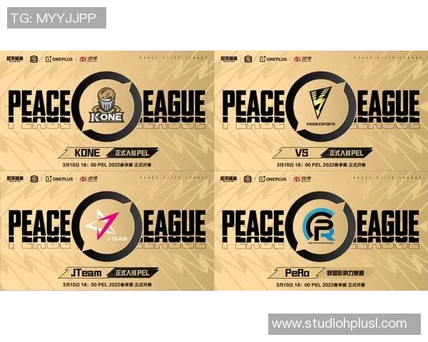 刘丽专访：回顾和平精英历程