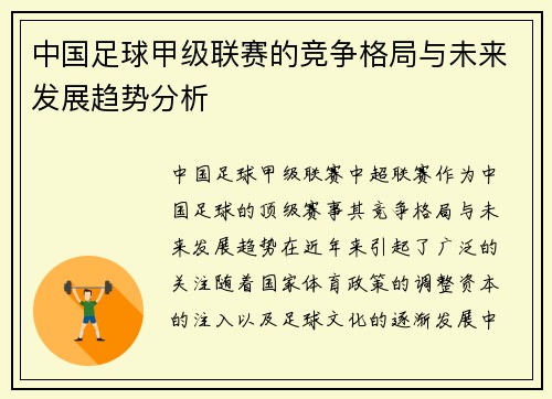 中国足球甲级联赛的竞争格局与未来发展趋势分析